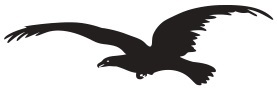 Vulturul Negru SA Oradea